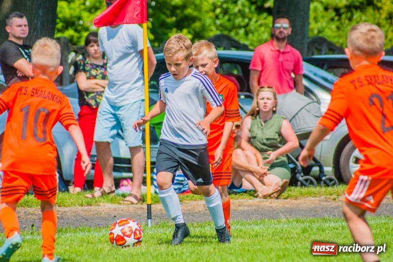 Zdjęcie w galerii na portalu naszraciborz.pl: Akademia Piłkarska GKS Jastrzębie zwycięzcą drugiego dnia Tworków Cup 2019 [FOTO] wiadomości z regionu