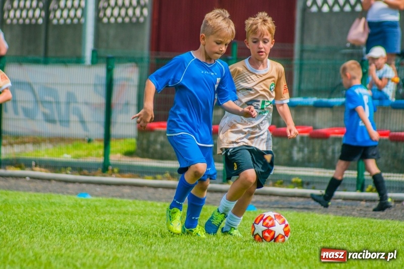 Zdjęcie w galerii na portalu naszraciborz.pl: Akademia Piłkarska GKS Jastrzębie zwycięzcą drugiego dnia Tworków Cup 2019 [FOTO] wiadomości z regionu