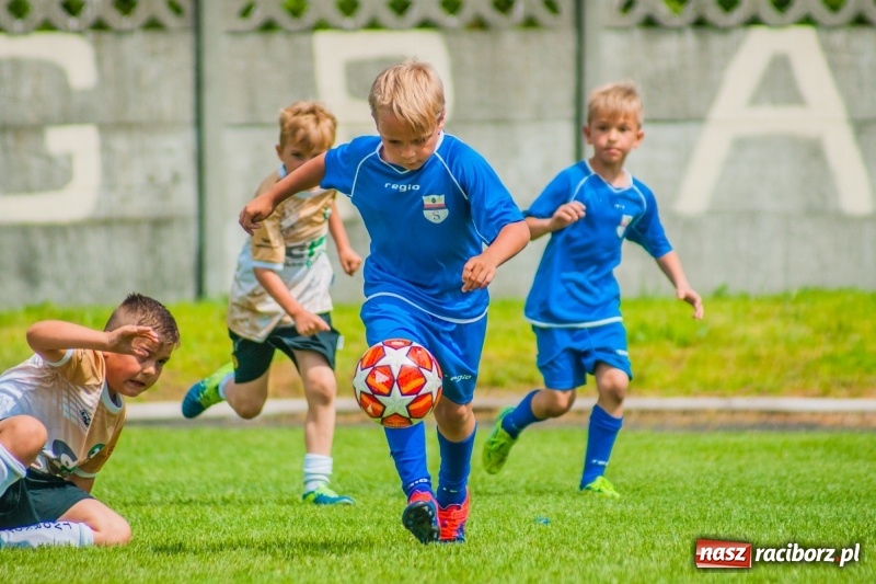 Zdjęcie w galerii na portalu naszraciborz.pl: Akademia Piłkarska GKS Jastrzębie zwycięzcą drugiego dnia Tworków Cup 2019 [FOTO] wiadomości z regionu