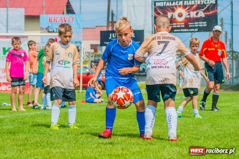 Zdjęcie w galerii na portalu naszraciborz.pl: Akademia Piłkarska GKS Jastrzębie zwycięzcą drugiego dnia Tworków Cup 2019 [FOTO] wiadomości z regionu
