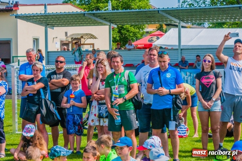 Zdjęcie w galerii na portalu naszraciborz.pl: Akademia Piłkarska GKS Jastrzębie zwycięzcą drugiego dnia Tworków Cup 2019 [FOTO] wiadomości z regionu