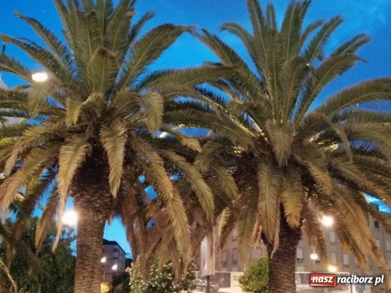 Zdjęcie w galerii na portalu naszraciborz.pl: Erasmus+ na finiszu. Podsumowanie w Tworkowie  wiadomości z regionu