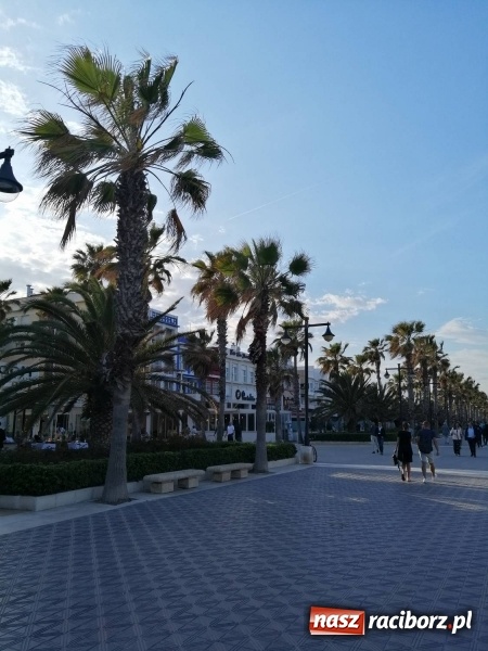 Zdjęcie w galerii na portalu naszraciborz.pl: Erasmus+ na finiszu. Podsumowanie w Tworkowie  wiadomości z regionu