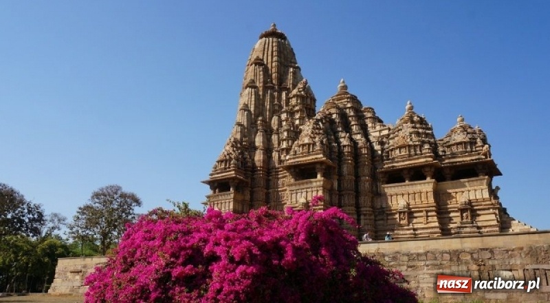 Zdjęcie w galerii na portalu naszraciborz.pl: Orientalne Indie - zobacz z nami kolorową mozaikę kultur i religii! wiadomości z regionu