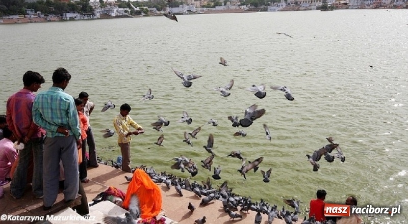 Zdjęcie w galerii na portalu naszraciborz.pl: Orientalne Indie - zobacz z nami kolorową mozaikę kultur i religii! wiadomości z regionu