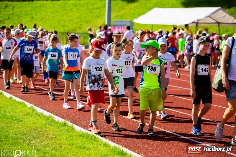 Zdjęcie w galerii na portalu naszraciborz.pl: W Raciborzu odbył się polski finał Czekoladowych Kolców wiadomości z regionu