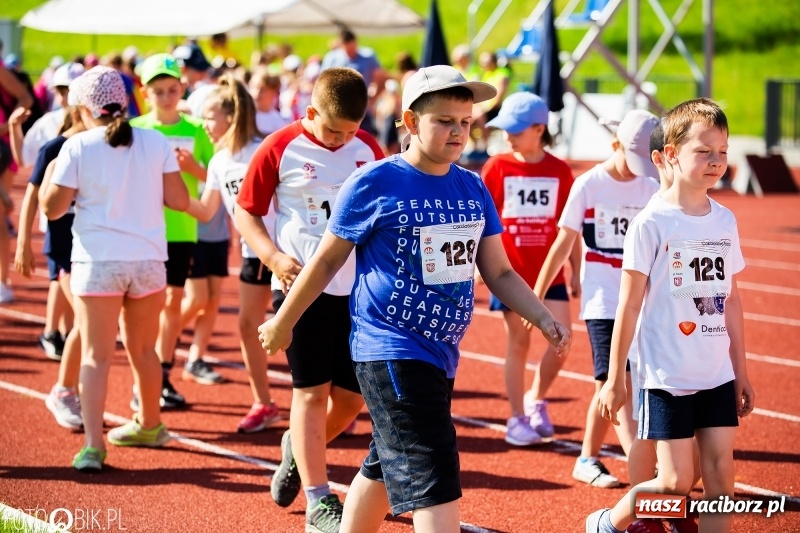 Zdjęcie w galerii na portalu naszraciborz.pl: W Raciborzu odbył się polski finał Czekoladowych Kolców wiadomości z regionu