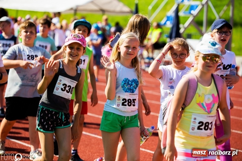 Zdjęcie w galerii na portalu naszraciborz.pl: W Raciborzu odbył się polski finał Czekoladowych Kolców wiadomości z regionu