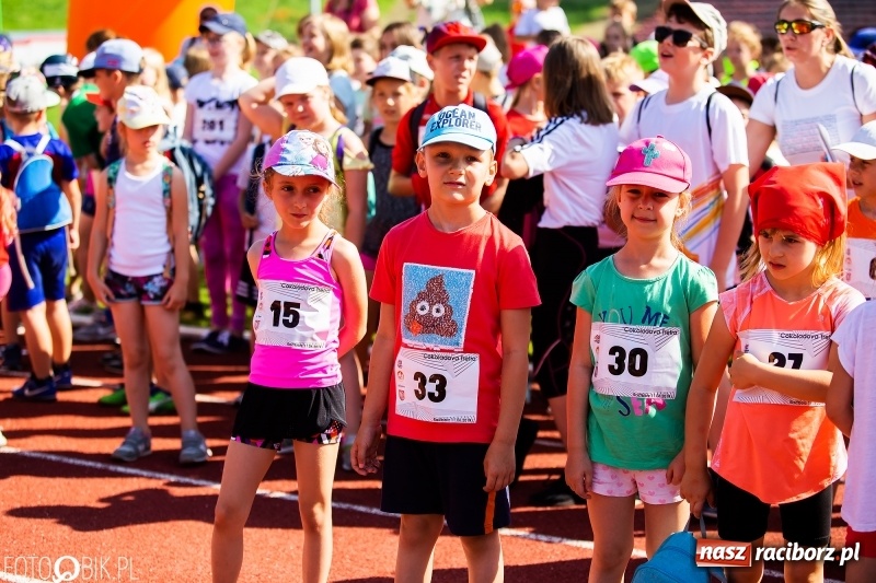 Zdjęcie w galerii na portalu naszraciborz.pl: W Raciborzu odbył się polski finał Czekoladowych Kolców wiadomości z regionu