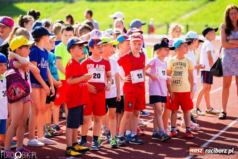 Zdjęcie w galerii na portalu naszraciborz.pl: W Raciborzu odbył się polski finał Czekoladowych Kolców wiadomości z regionu