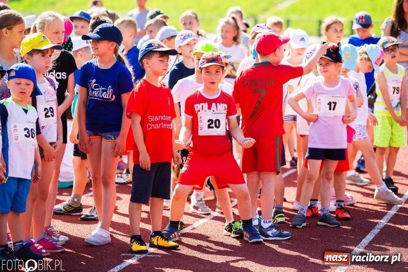 Zdjęcie w galerii na portalu naszraciborz.pl: W Raciborzu odbył się polski finał Czekoladowych Kolców wiadomości z regionu