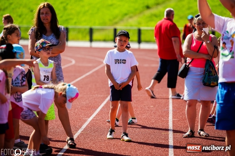 Zdjęcie w galerii na portalu naszraciborz.pl: W Raciborzu odbył się polski finał Czekoladowych Kolców wiadomości z regionu