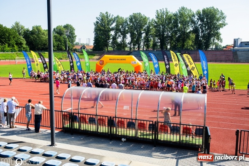 Zdjęcie w galerii na portalu naszraciborz.pl: W Raciborzu odbył się polski finał Czekoladowych Kolców wiadomości z regionu