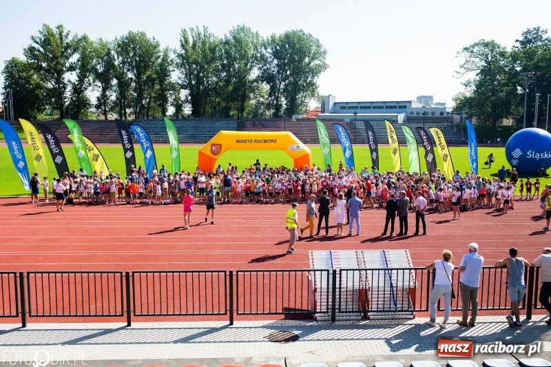 Zdjęcie w galerii na portalu naszraciborz.pl: W Raciborzu odbył się polski finał Czekoladowych Kolców wiadomości z regionu