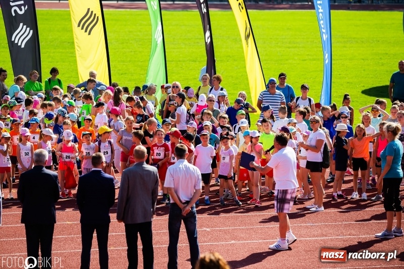 Zdjęcie w galerii na portalu naszraciborz.pl: W Raciborzu odbył się polski finał Czekoladowych Kolców wiadomości z regionu