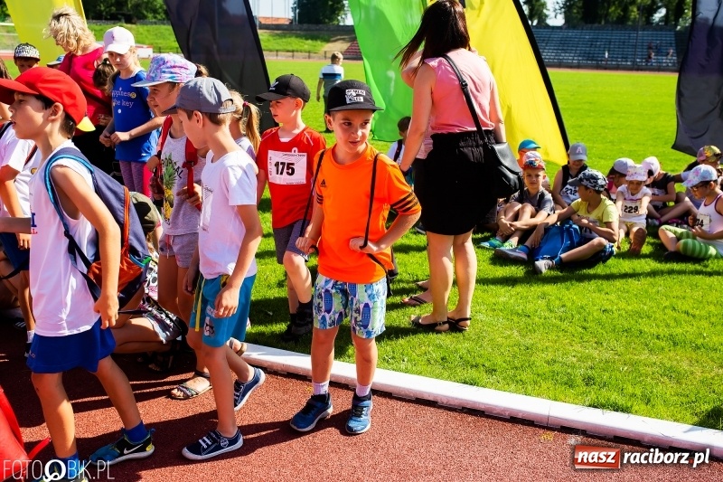 Zdjęcie w galerii na portalu naszraciborz.pl: W Raciborzu odbył się polski finał Czekoladowych Kolców wiadomości z regionu