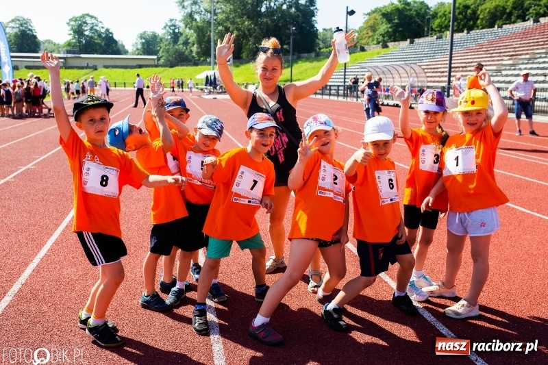 Zdjęcie w galerii na portalu naszraciborz.pl: W Raciborzu odbył się polski finał Czekoladowych Kolców wiadomości z regionu