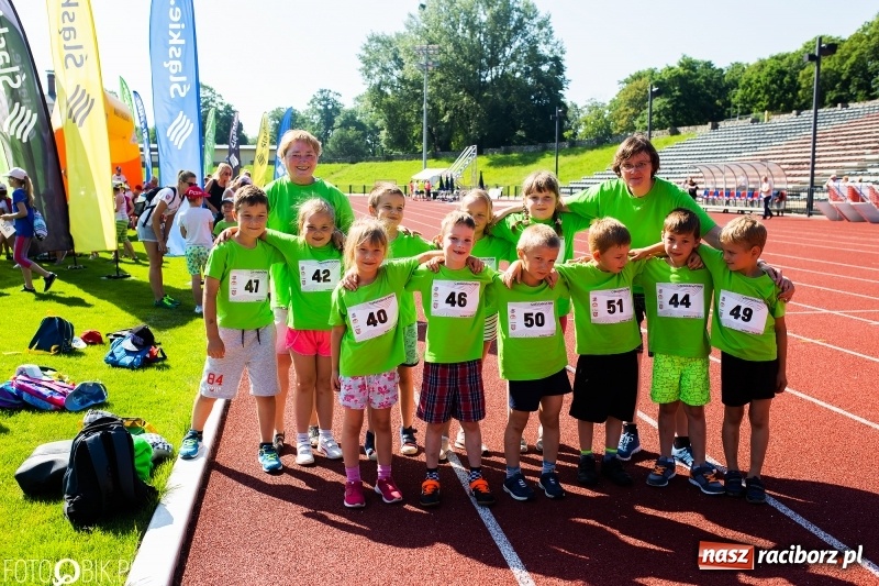 Zdjęcie w galerii na portalu naszraciborz.pl: W Raciborzu odbył się polski finał Czekoladowych Kolców wiadomości z regionu