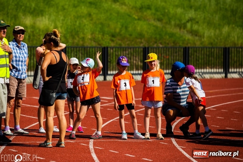 Zdjęcie w galerii na portalu naszraciborz.pl: W Raciborzu odbył się polski finał Czekoladowych Kolców wiadomości z regionu