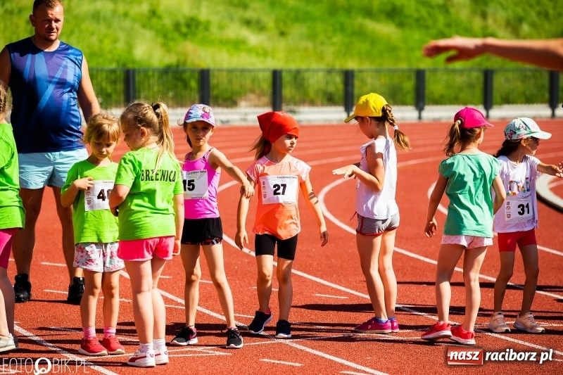 Zdjęcie w galerii na portalu naszraciborz.pl: W Raciborzu odbył się polski finał Czekoladowych Kolców wiadomości z regionu