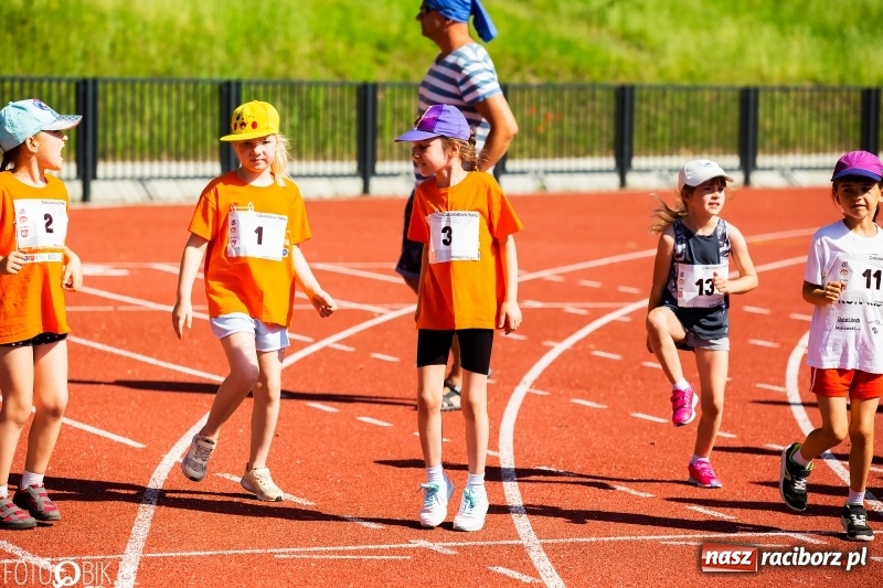 Zdjęcie w galerii na portalu naszraciborz.pl: W Raciborzu odbył się polski finał Czekoladowych Kolców wiadomości z regionu