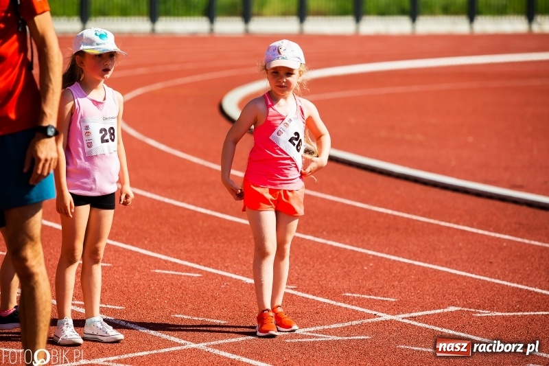 Zdjęcie w galerii na portalu naszraciborz.pl: W Raciborzu odbył się polski finał Czekoladowych Kolców wiadomości z regionu