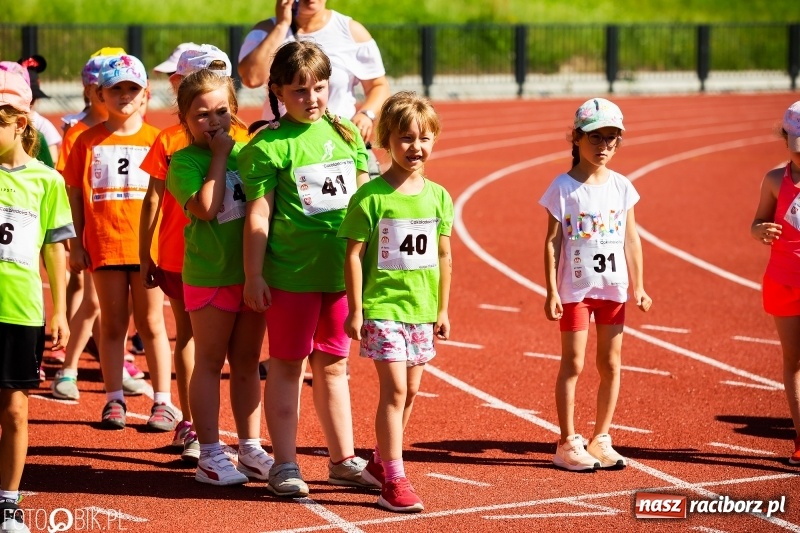 Zdjęcie w galerii na portalu naszraciborz.pl: W Raciborzu odbył się polski finał Czekoladowych Kolców wiadomości z regionu