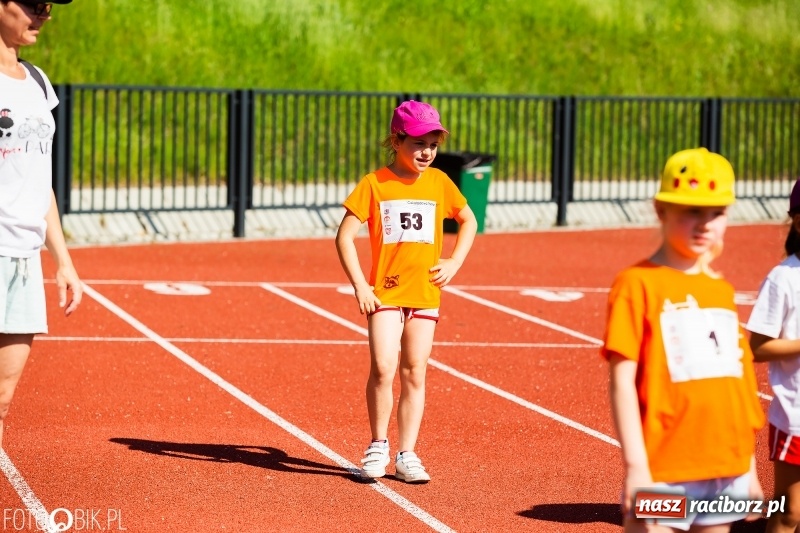 Zdjęcie w galerii na portalu naszraciborz.pl: W Raciborzu odbył się polski finał Czekoladowych Kolców wiadomości z regionu
