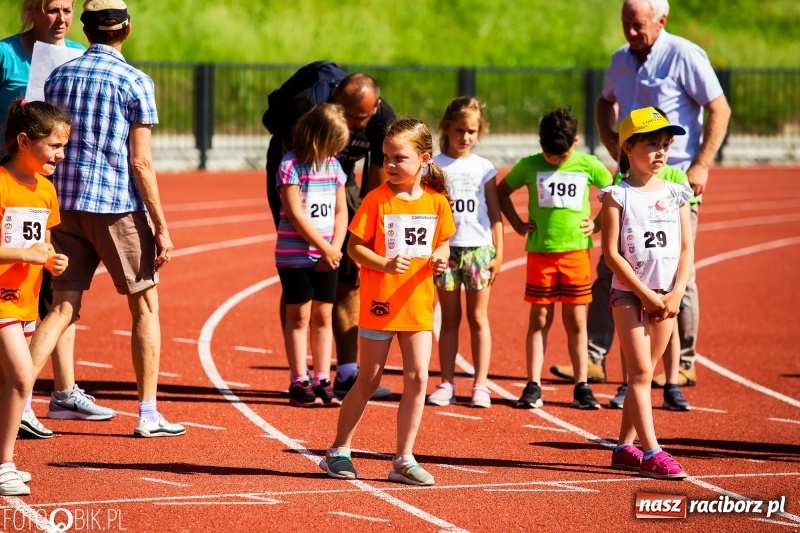 Zdjęcie w galerii na portalu naszraciborz.pl: W Raciborzu odbył się polski finał Czekoladowych Kolców wiadomości z regionu