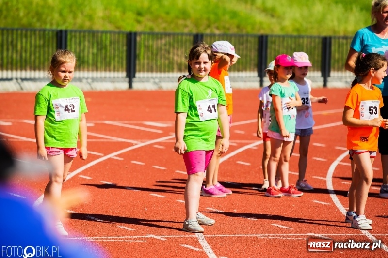 Zdjęcie w galerii na portalu naszraciborz.pl: W Raciborzu odbył się polski finał Czekoladowych Kolców wiadomości z regionu