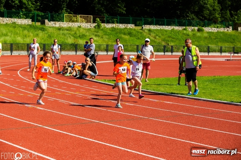 Zdjęcie w galerii na portalu naszraciborz.pl: W Raciborzu odbył się polski finał Czekoladowych Kolców wiadomości z regionu