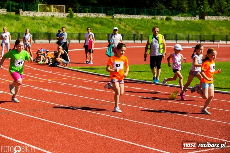 Zdjęcie w galerii na portalu naszraciborz.pl: W Raciborzu odbył się polski finał Czekoladowych Kolców wiadomości z regionu