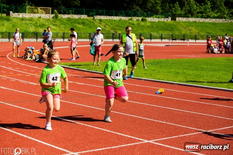 Zdjęcie w galerii na portalu naszraciborz.pl: W Raciborzu odbył się polski finał Czekoladowych Kolców wiadomości z regionu
