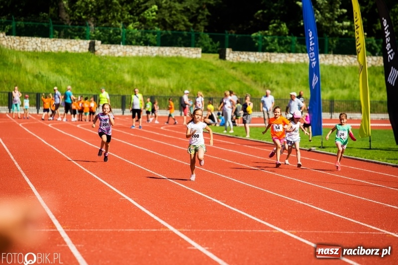 Zdjęcie w galerii na portalu naszraciborz.pl: W Raciborzu odbył się polski finał Czekoladowych Kolców wiadomości z regionu