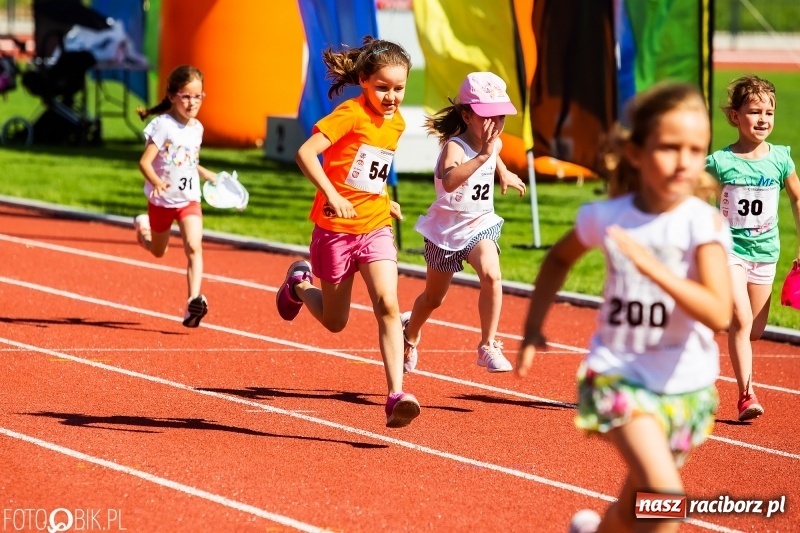 Zdjęcie w galerii na portalu naszraciborz.pl: W Raciborzu odbył się polski finał Czekoladowych Kolców wiadomości z regionu