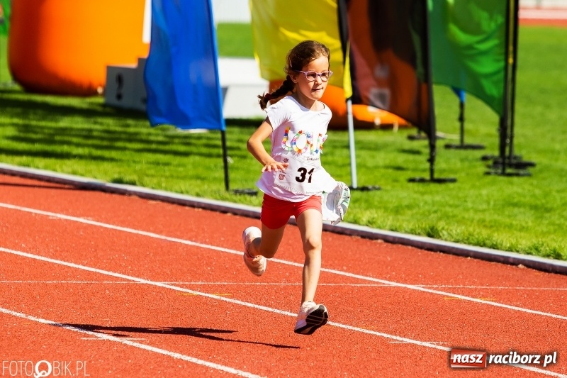 Zdjęcie w galerii na portalu naszraciborz.pl: W Raciborzu odbył się polski finał Czekoladowych Kolców wiadomości z regionu