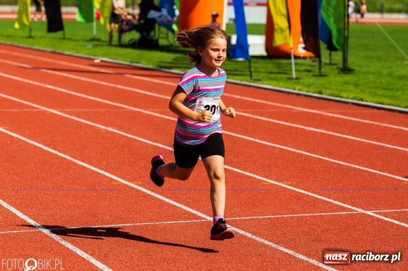 Zdjęcie w galerii na portalu naszraciborz.pl: W Raciborzu odbył się polski finał Czekoladowych Kolców wiadomości z regionu