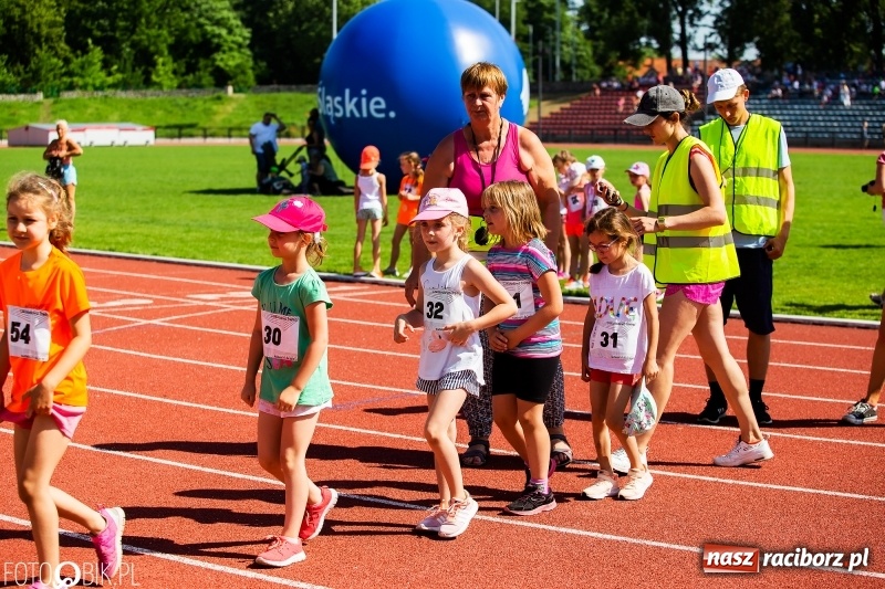Zdjęcie w galerii na portalu naszraciborz.pl: W Raciborzu odbył się polski finał Czekoladowych Kolców wiadomości z regionu