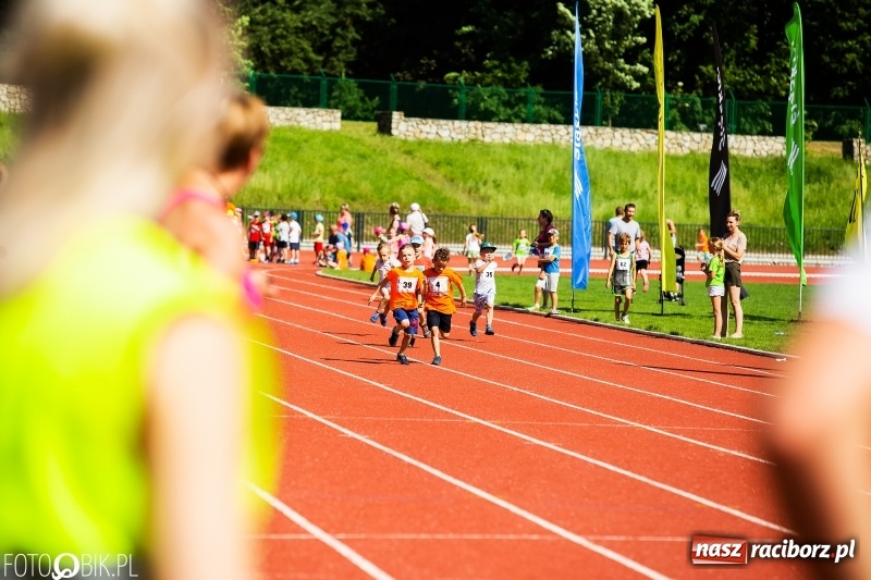 Zdjęcie w galerii na portalu naszraciborz.pl: W Raciborzu odbył się polski finał Czekoladowych Kolców wiadomości z regionu