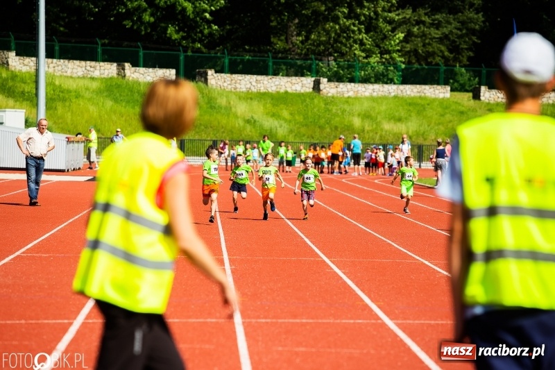 Zdjęcie w galerii na portalu naszraciborz.pl: W Raciborzu odbył się polski finał Czekoladowych Kolców wiadomości z regionu