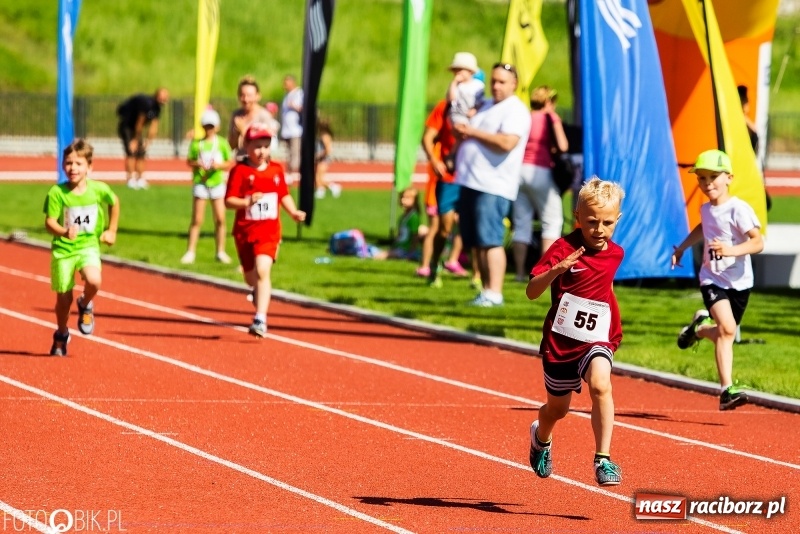 Zdjęcie w galerii na portalu naszraciborz.pl: W Raciborzu odbył się polski finał Czekoladowych Kolców wiadomości z regionu