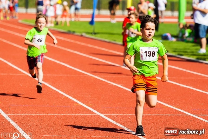 Zdjęcie w galerii na portalu naszraciborz.pl: W Raciborzu odbył się polski finał Czekoladowych Kolców wiadomości z regionu