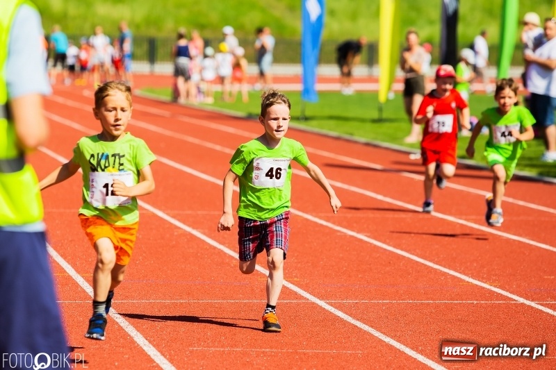 Zdjęcie w galerii na portalu naszraciborz.pl: W Raciborzu odbył się polski finał Czekoladowych Kolców wiadomości z regionu
