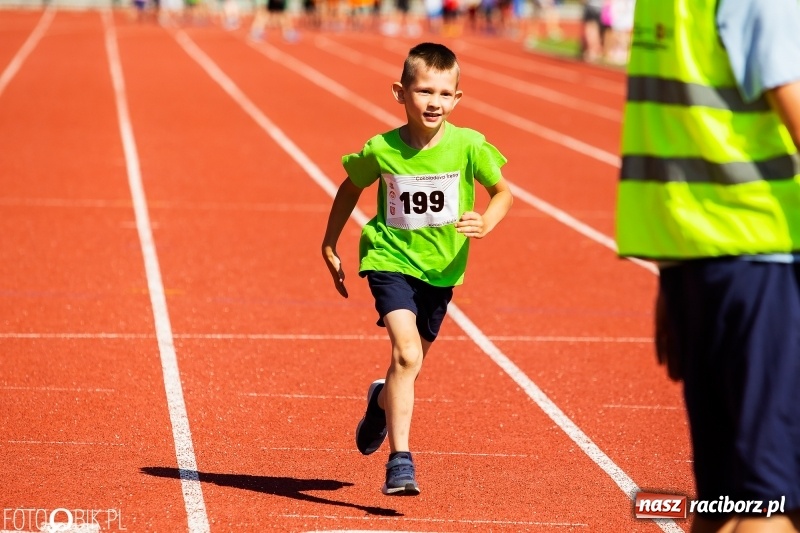 Zdjęcie w galerii na portalu naszraciborz.pl: W Raciborzu odbył się polski finał Czekoladowych Kolców wiadomości z regionu