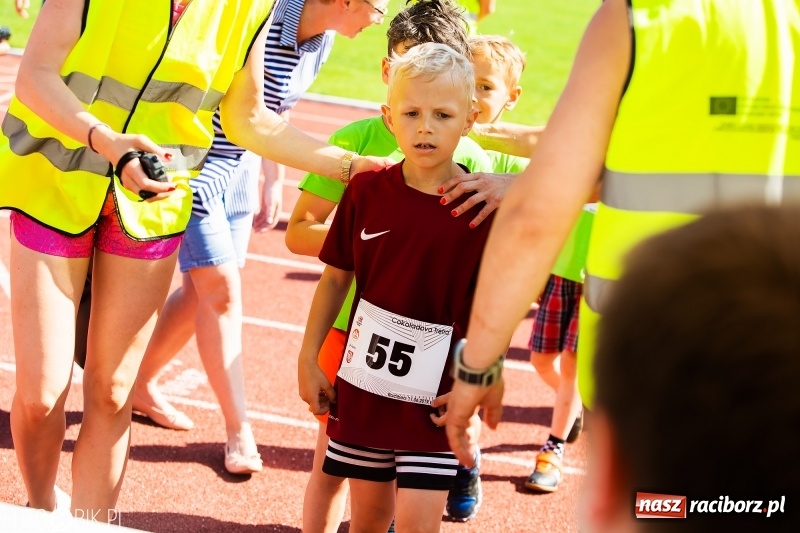 Zdjęcie w galerii na portalu naszraciborz.pl: W Raciborzu odbył się polski finał Czekoladowych Kolców wiadomości z regionu