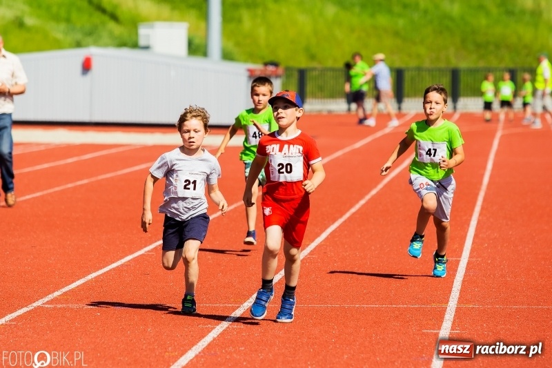 Zdjęcie w galerii na portalu naszraciborz.pl: W Raciborzu odbył się polski finał Czekoladowych Kolców wiadomości z regionu