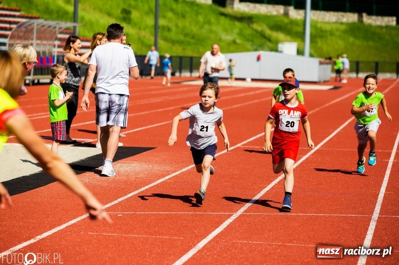 Zdjęcie w galerii na portalu naszraciborz.pl: W Raciborzu odbył się polski finał Czekoladowych Kolców wiadomości z regionu
