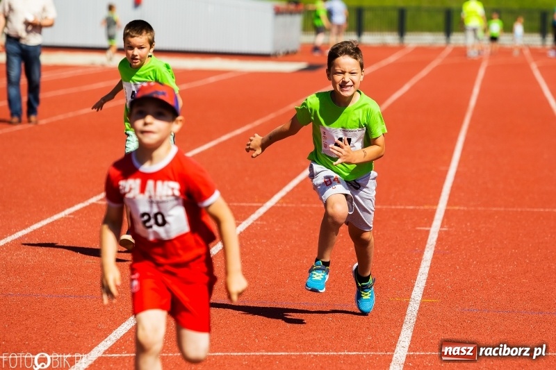 Zdjęcie w galerii na portalu naszraciborz.pl: W Raciborzu odbył się polski finał Czekoladowych Kolców wiadomości z regionu