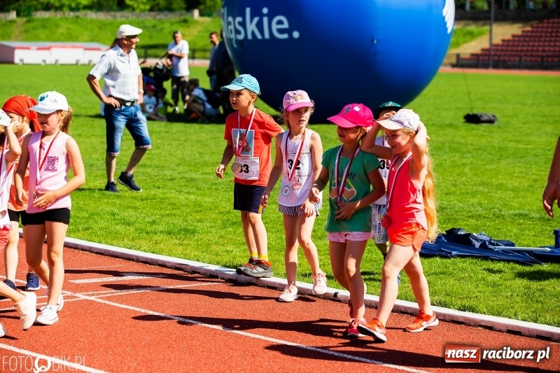 Zdjęcie w galerii na portalu naszraciborz.pl: W Raciborzu odbył się polski finał Czekoladowych Kolców wiadomości z regionu