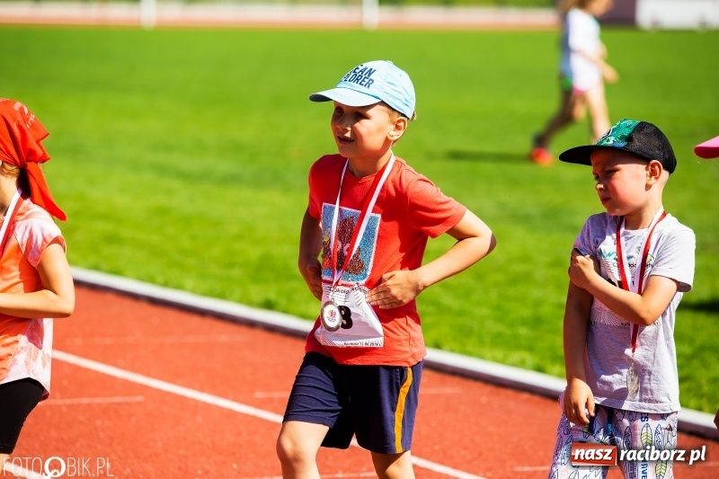 Zdjęcie w galerii na portalu naszraciborz.pl: W Raciborzu odbył się polski finał Czekoladowych Kolców wiadomości z regionu